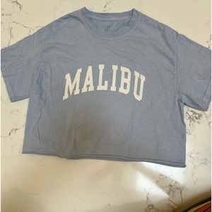 Brandy Melville/J.Galt cropped Malibu oversized tee shirt